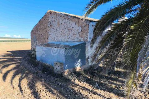 Ruinere i Yecla, Murcia, Yecla - € 28.000 | Ref: SF0551 - foto 2